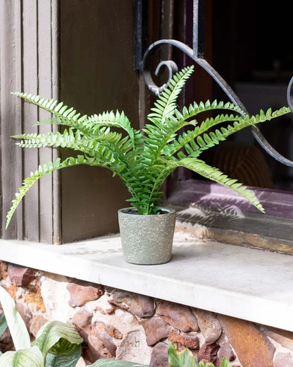 Fern Bush Faux Plant in Cement Pot 37cm