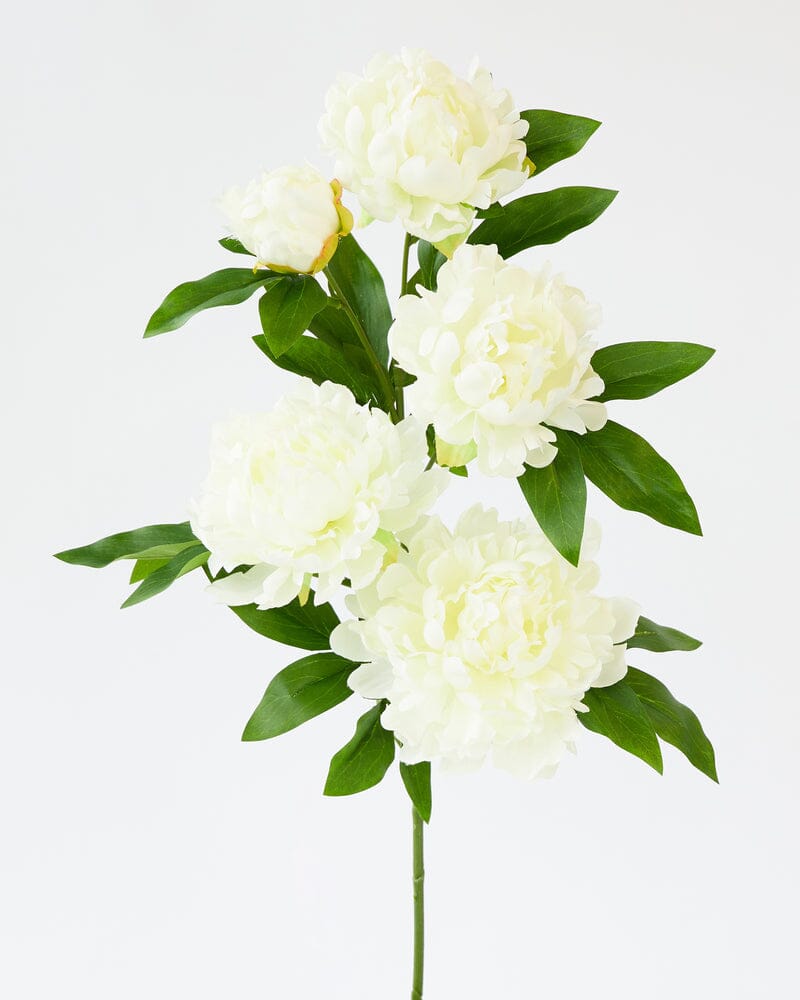 Peony 5-Branch in Cream 90cm