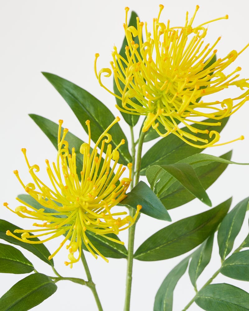 Grevillea Artificial Spray in Yellow/Green 73cm