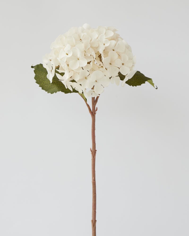 Hydrangea Stem in Cream 45cm
