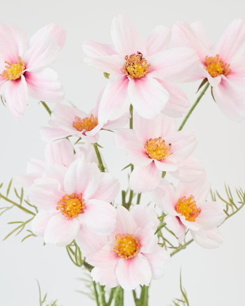 Cosmos Artificial Bush in Pink - 49cm