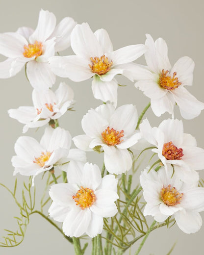 Cosmos Artificial Bush in White 49cm