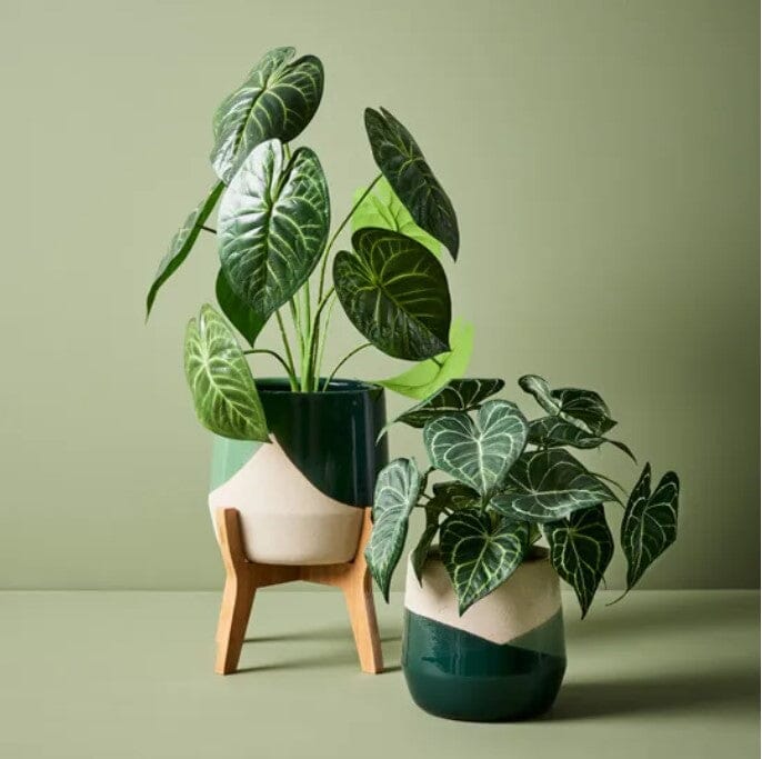 Anthurium Clarinervium Artificial Potted Plant 63cm