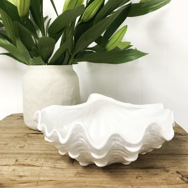 Luna Clam Shell Decorative Bowl - Medium (Save 12%)