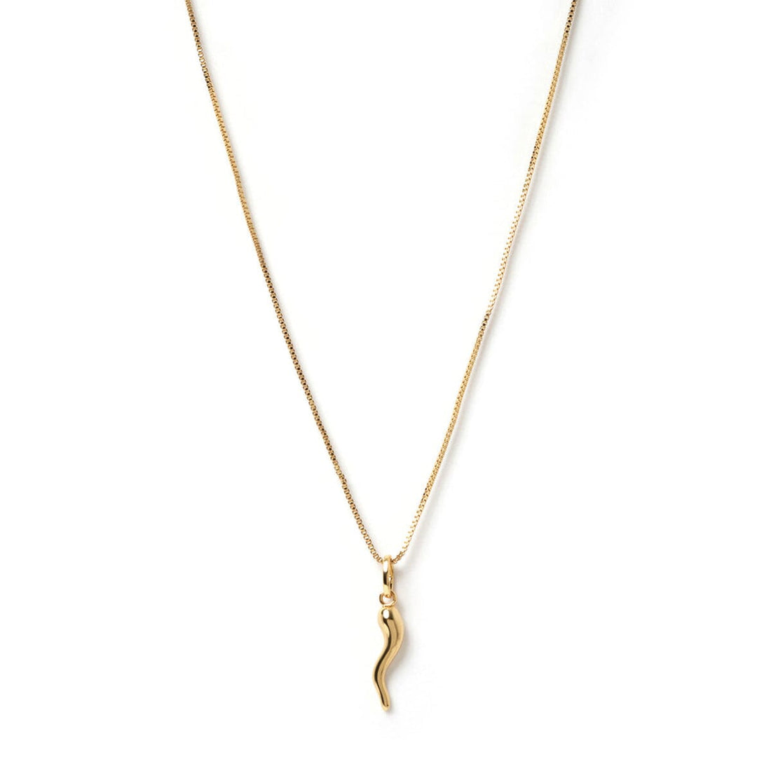 Arms of Eve - Cornicello Gold Charm Necklace - Large