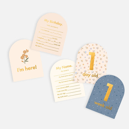 Fox &amp; Fallow - Baby Milestone Cards in  Broderie