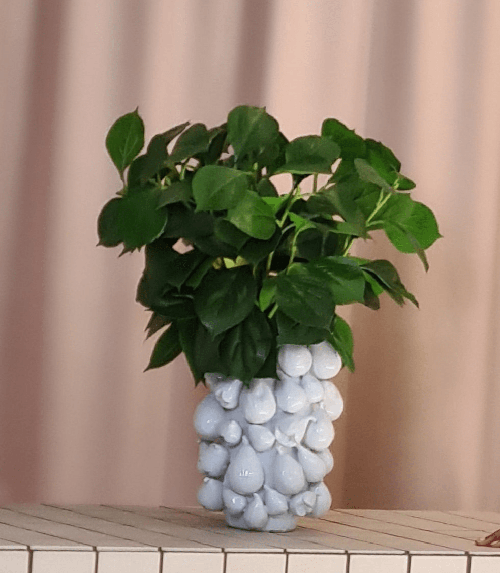 Aphrodite Ceramic Fig Vase in White - 33cm