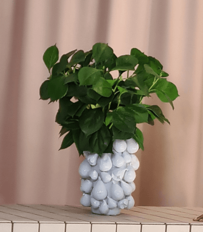 Aphrodite Ceramic Fig Vase in White - 33cm