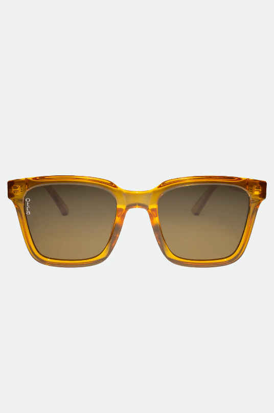 OTRA Eyewear - FYN Transparent Orange W/ Brown Lens