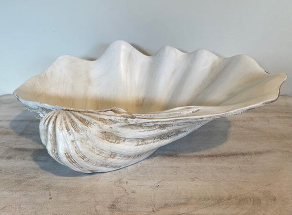 Clam Shell Resin Decorative Bowl in Antique White - Small