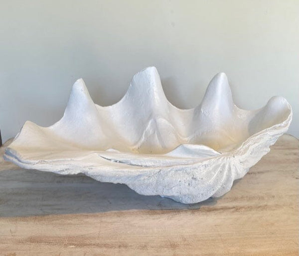 Clam Shell Resin Decorative Bowl in White - Medium