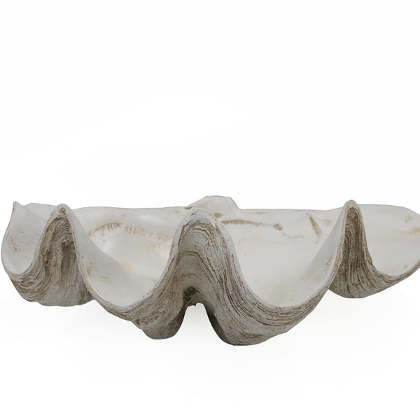Clam Shell Resin Decorative Bowl in Antique White - Medium