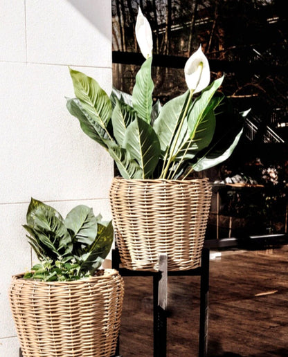 Zoe Cane Pot Basket 30cm (Save 28%)