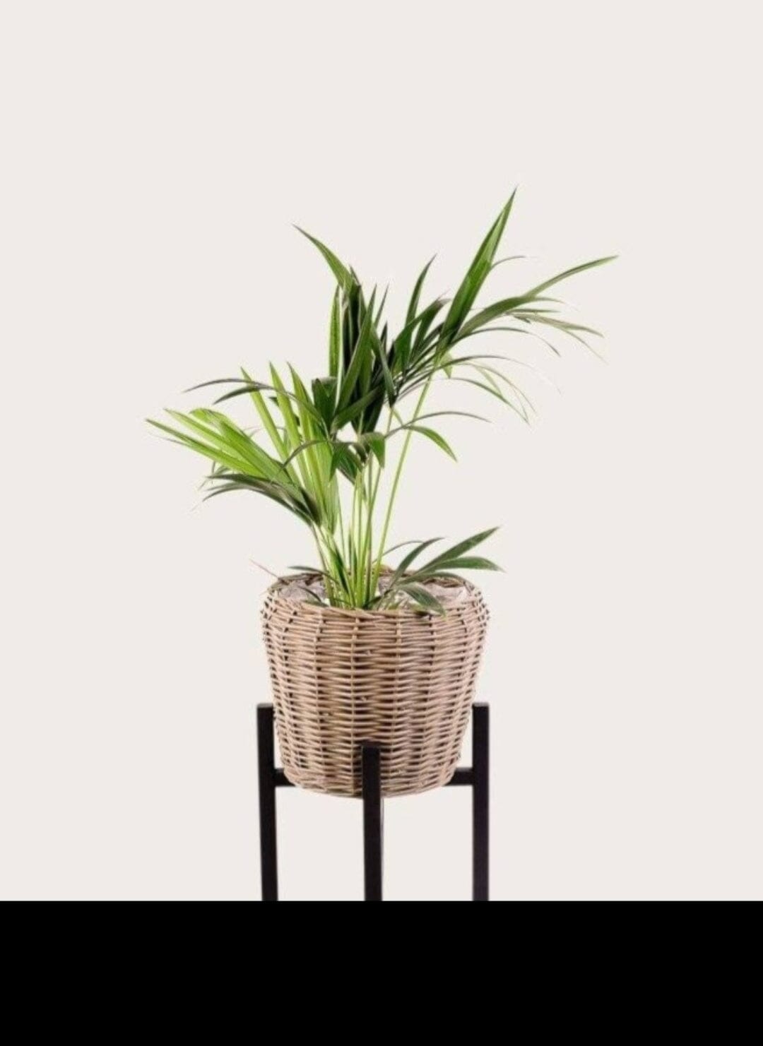 Zoe Cane Pot Basket 30cm (Save 28%)