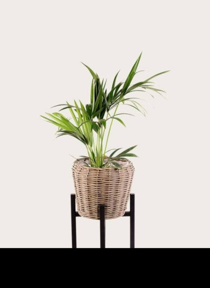 Zoe Cane Pot Basket 30cm (Save 28%)