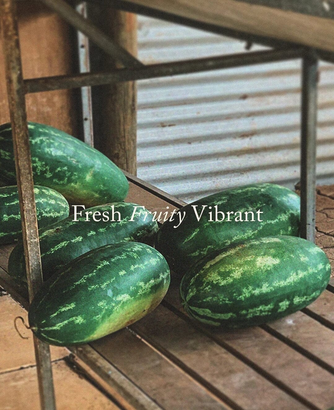Posie - PIP: Watermelon / Cucumber / Basil Clear Candle 300g
