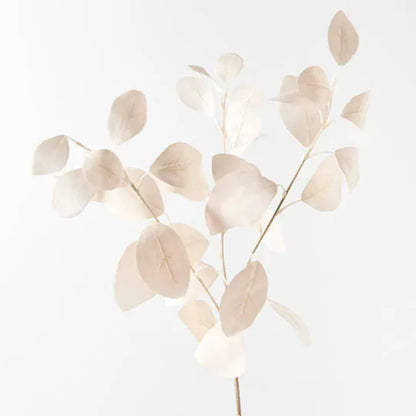 Eucalyptus Silver Dollar in Off-White