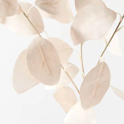 Eucalyptus Silver Dollar in Off-White