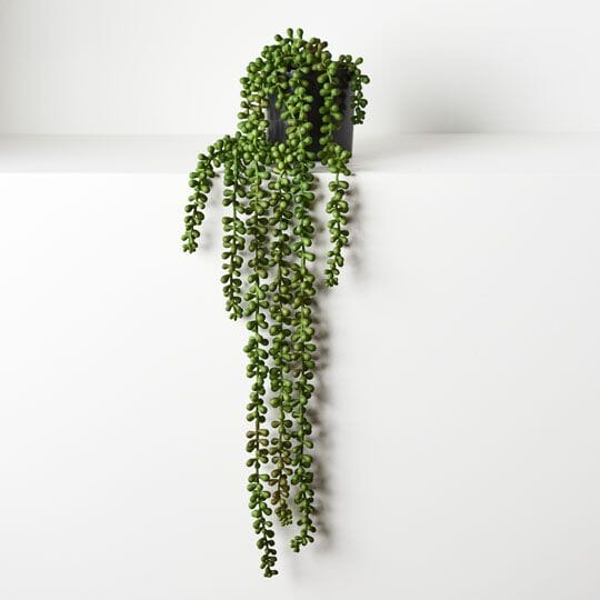 String of Artificial Hanging Pearls in Pot 70cm