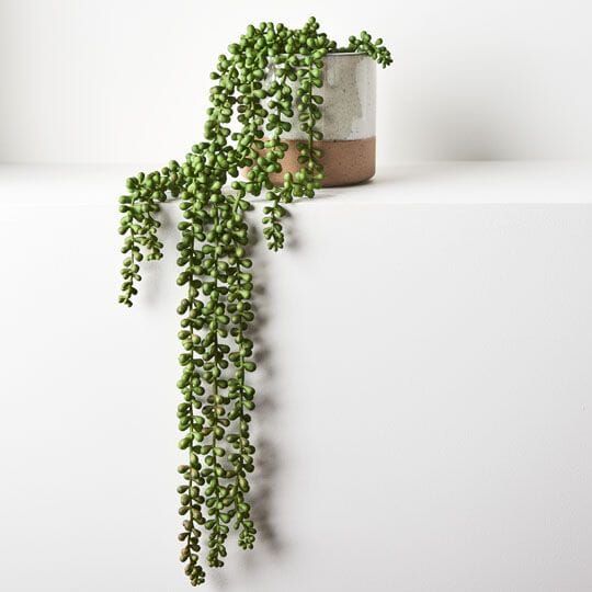 String of Artificial Hanging Pearls in Pot 70cm