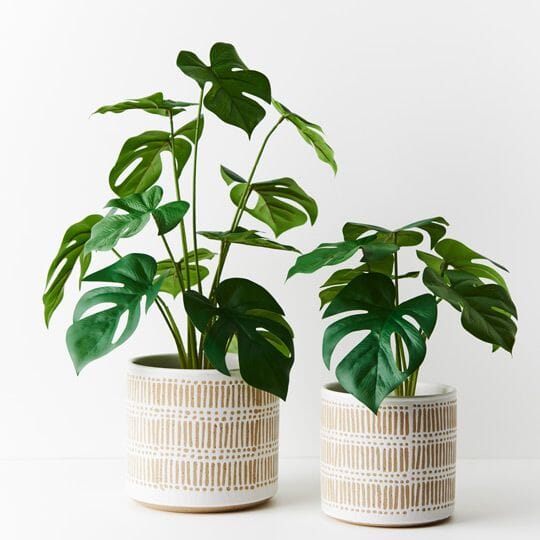 Diyana Cermaic Plant Pot in White