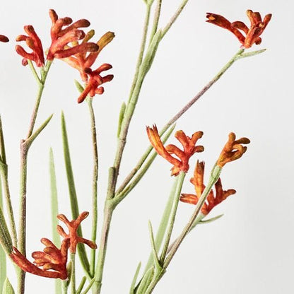 Kangaroo Paw Artificial Plant in Burnt Orange 60cm