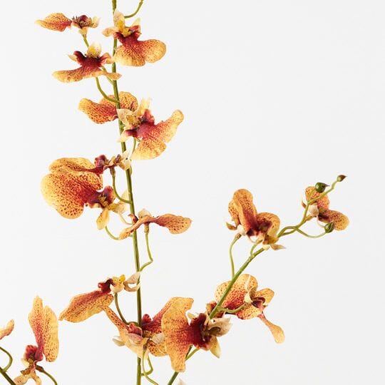 Orchid Dancing Peach Faux 98cm