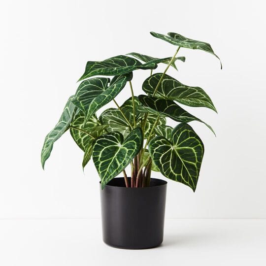 Syngonium Batik Artificial Plant 48cm