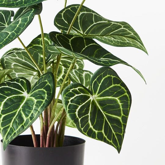 Syngonium Batik Artificial Plant 48cm