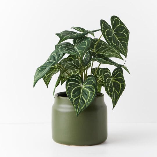 Syngonium Batik Artificial Plant 48cm