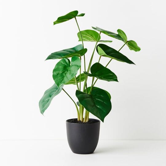 Philodendron Faux Plant 50cm