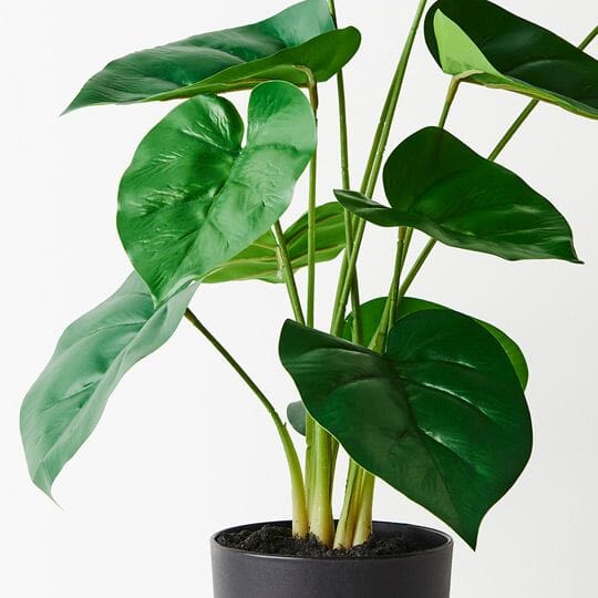 Philodendron Faux Plant 50cm