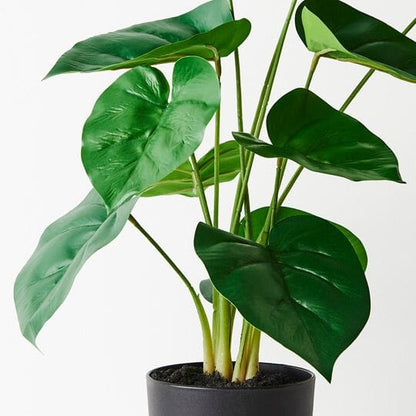 Philodendron Faux Plant 50cm