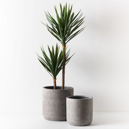 Yucca Faux Plant 183cm