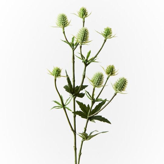 Sea Holly Artificial Spray in Green 51cm