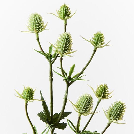 Sea Holly Artificial Spray in Green 51cm