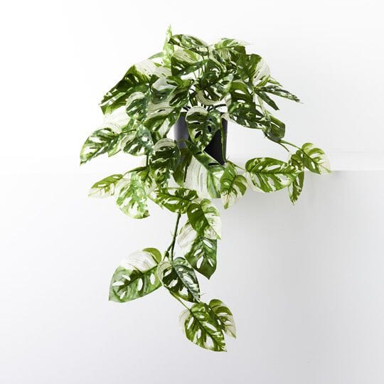 Monstera Adansonii Faux Hanging Bush 76cm