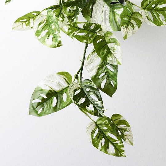 Monstera Adansonii Faux Hanging Bush 76cm