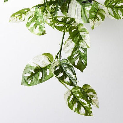 Monstera Adansonii Faux Hanging Bush 76cm