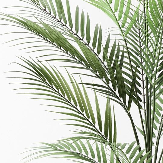 Palm Parlour Faux Plant 92cm