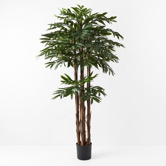 Kentia Palm Artificial Indoor Plant 180cm