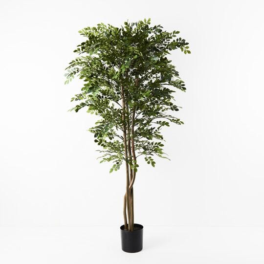 Acacia Artificial Tree 180cm