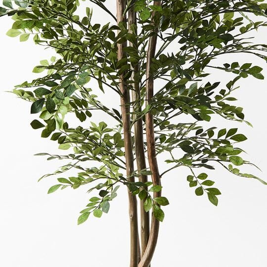 Acacia Artificial Tree - 180cm