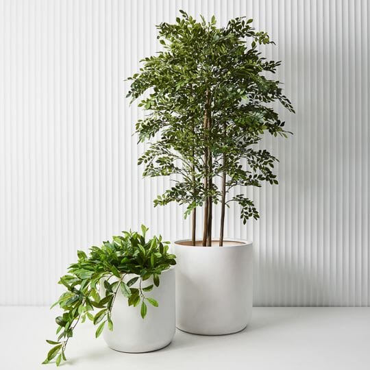 Acacia Artificial Tree - 180cm