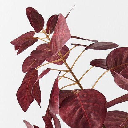 Smoke Bush Leaf Spray in Burgundy 75cm