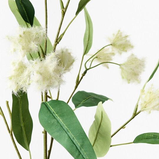 Eucalyptus Lemon Scented in Cream 90cm