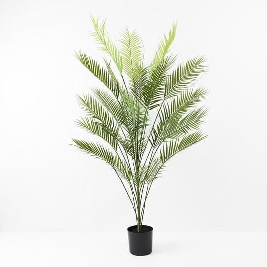 Palm Parlour Faux Plant 181cm