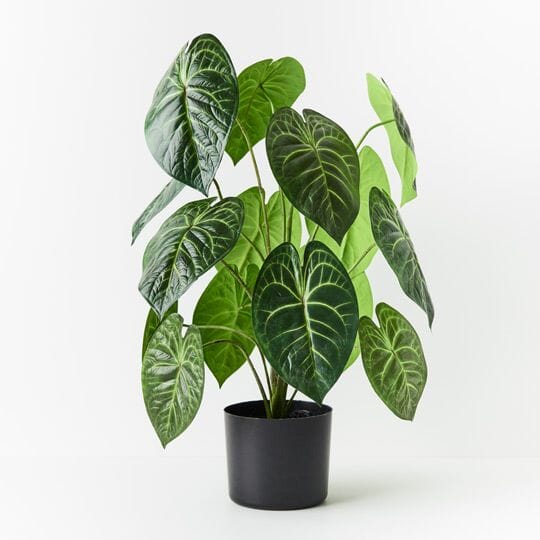 Anthurium Clarinervium Artificial Plant 73cm