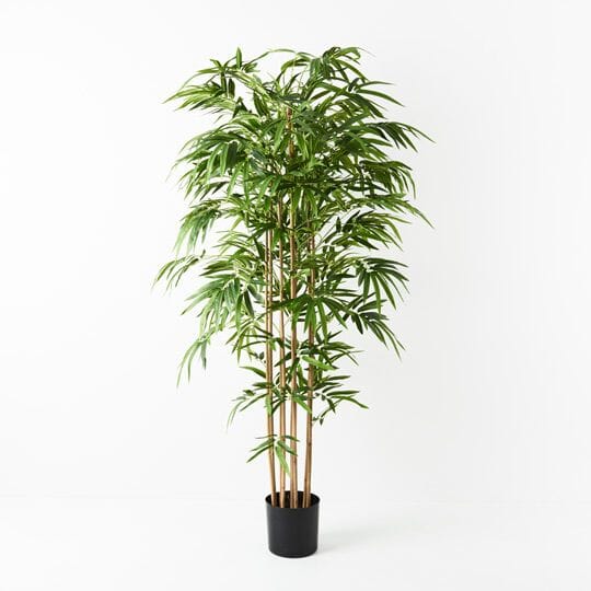 Bamboo Golden Faux Plant 180cm