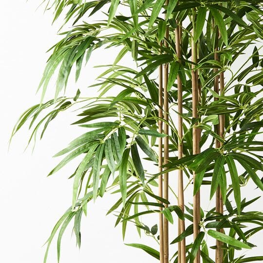 Bamboo Golden Faux Plant 180cm